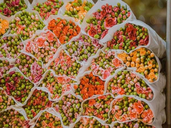 Chợ Quảng Bá – Địa điểm tuyệt vời để khám phá thế giới hoa tươi